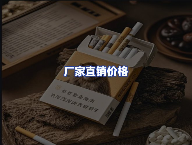 专业团队